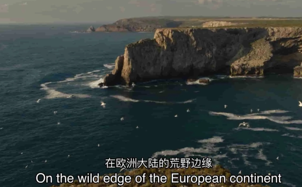 国家地理纪录片《野性葡萄牙/狂野葡萄牙 Wild Portugal 2020》全1集 英语中英双字-少儿纪录片论坛-儿童中文教育-爱鸡娃