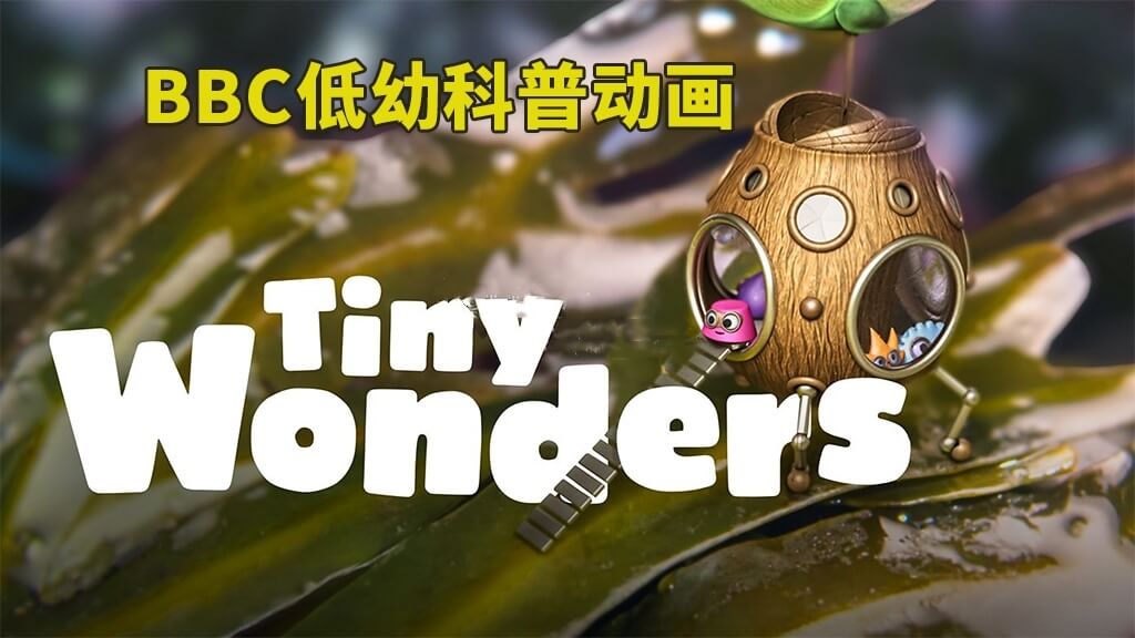 BBC英文科普动画片《Tiny Wonders 小奇迹》全3季，教你学会观察、探索自然界小奇观，百度网盘免费下载-爱鸡娃