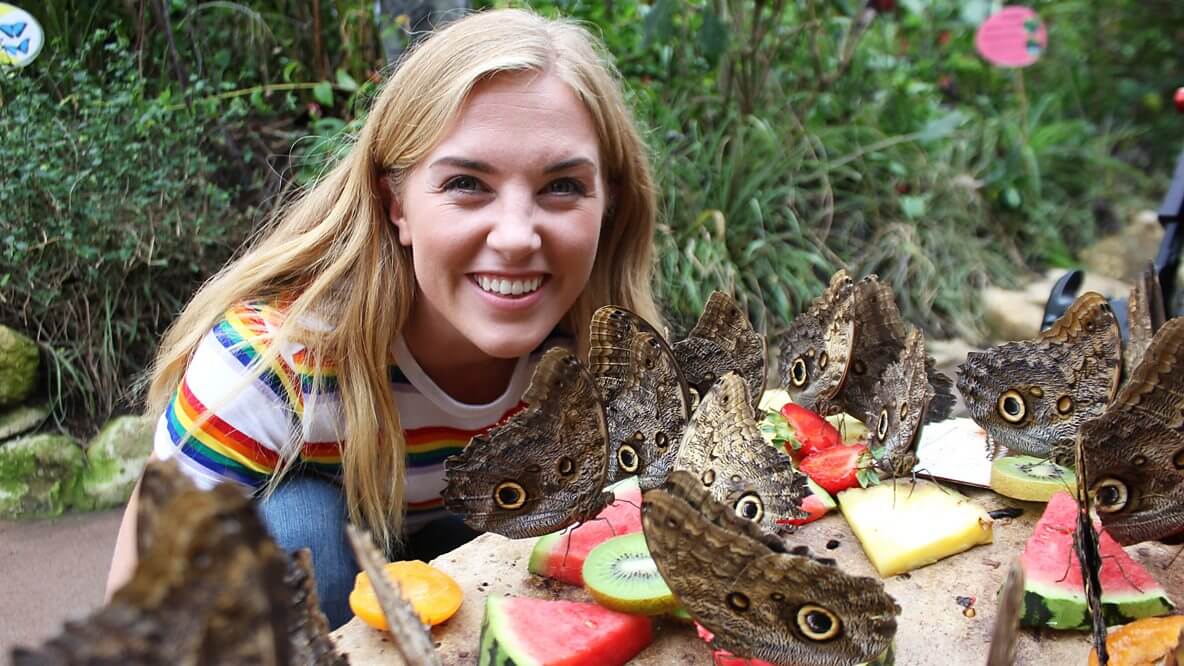 BBC少儿真人科普纪录片Maddie's Do You Know你知道吗？全五季+番外篇百度网盘下载 - 爱鸡娃-爱鸡娃