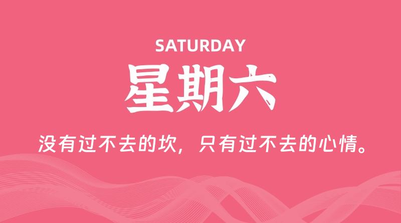 10月26日，星期六, 鸡娃新闻！-爱鸡娃