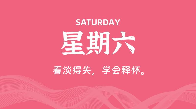 11月02日，星期六, 鸡娃新闻！-爱鸡娃