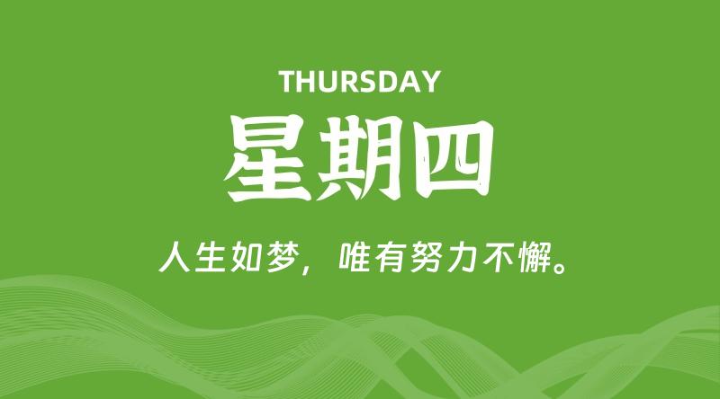 11月07日，星期四, 鸡娃新闻！-爱鸡娃