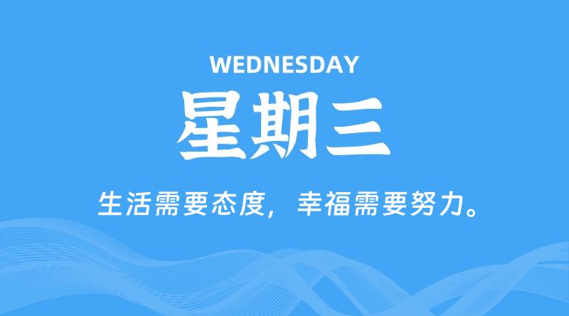 11月20日，星期三, 鸡娃新闻！-爱鸡娃