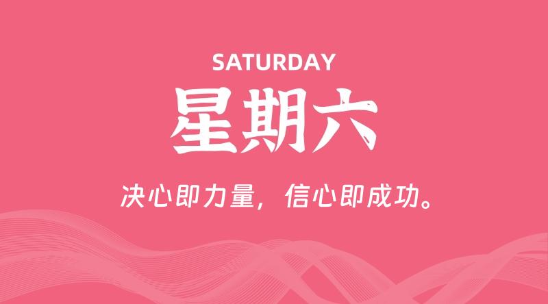 11月23日，星期六, 鸡娃新闻！-爱鸡娃