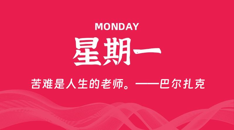 11月25日，星期一, 鸡娃新闻！-爱鸡娃