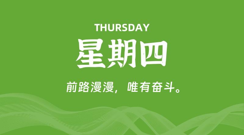 11月28日，星期四, 鸡娃新闻！-爱鸡娃