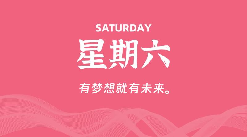 11月30日，星期六, 鸡娃新闻！-爱鸡娃