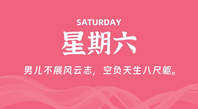 12月28日，星期六, 鸡娃新闻！-爱鸡娃