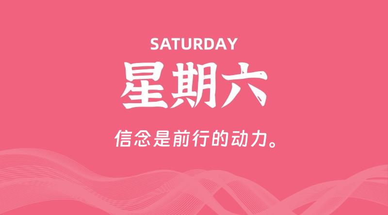 03月15日，星期六, 鸡娃新闻！-爱鸡娃